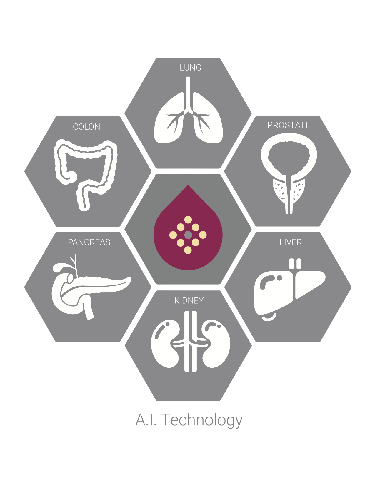 Hex-vector-withlabels